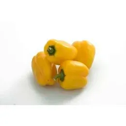 Skjæveland Gardsutsalg gul paprika per kg søt