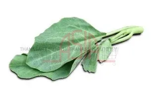 Asia Engros Chinese Kale kailan 200g mild