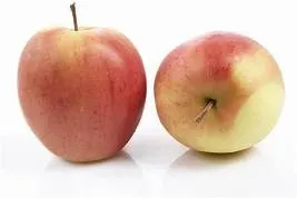 Skjæveland Gardsutsalg epler røde import per kg søte
