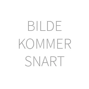 Skjæveland Gardsutsalg PlanBi honning 250 g mild