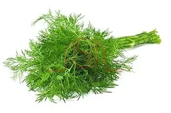 Asia Engros dill tørket krydder 80 g
