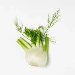 Skjæveland Gardsutsalg fennikel per kg fersk mild