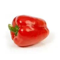 Skjæveland Gardsutsalg Paprika rød fersk per kg søt