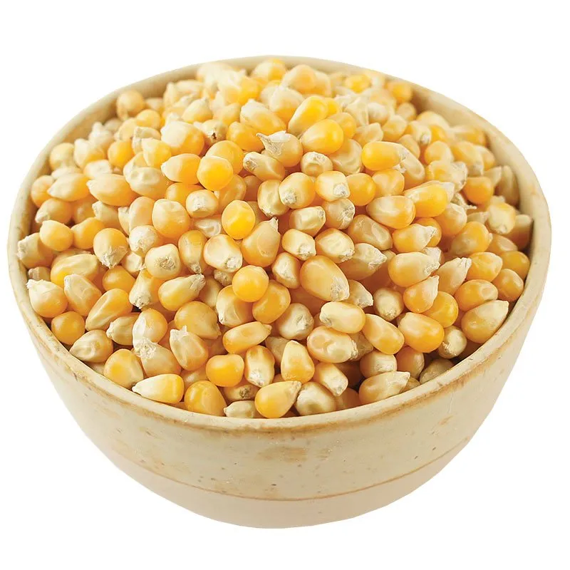 Natessen Mother Earth popcorn økologisk storpack helkorn
