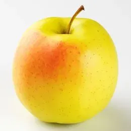 Skjæveland Gardsutsalg golden epler per kg søte