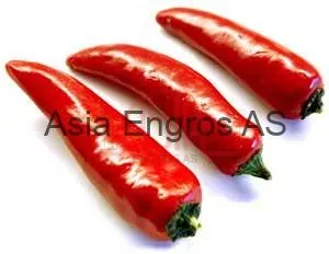 Asia Engros rød stor chili 80 g mild til middag