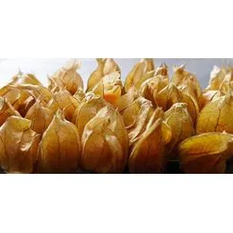 Skjæveland physalis 100 g syrlig