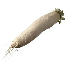 Skjæveland Rettich reddik per kg skarp