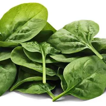 Skjæveland Babyspinat norsk spinat 100 g mild