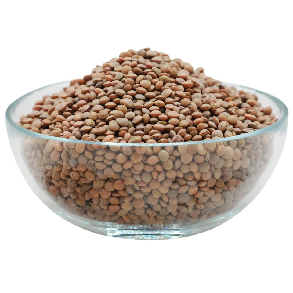 Natessen berglinser brune linser EKO storpack