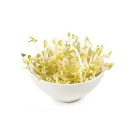 Skjæveland Gardsutsalg Bønnespirer ferske 180 g mild