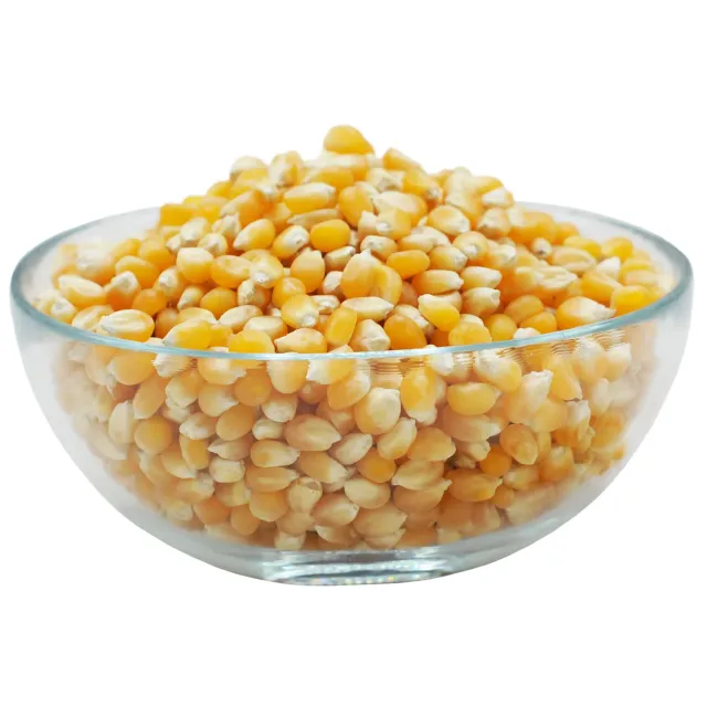 Natessen Mother Earth popcorn økologisk storpack helkorn