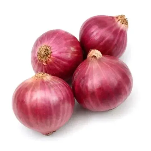 Skjæveland Gardsutsalg Rød delikatesseløk per kg mild