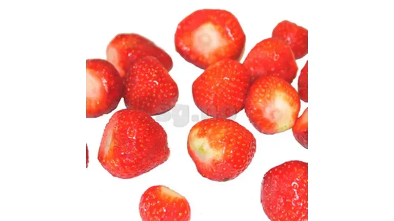 Skjæveland Gardsutsalg Jordbær dypfryst 1 kg