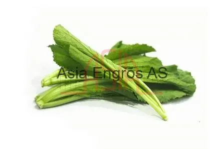 Asia Engros Cai Be Xanh Am Choi 7 kg fersk
