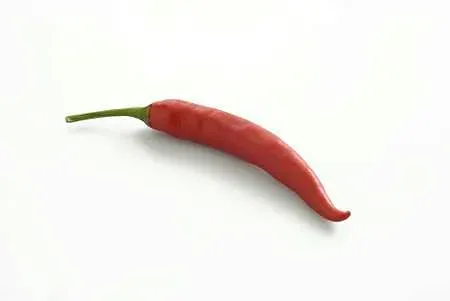 Skjæveland Chili Rød 50 g pk sterk