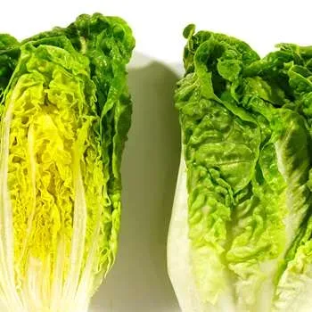 Skjæveland Gardsutsalg hjertesalat 2 pk norsk fersk